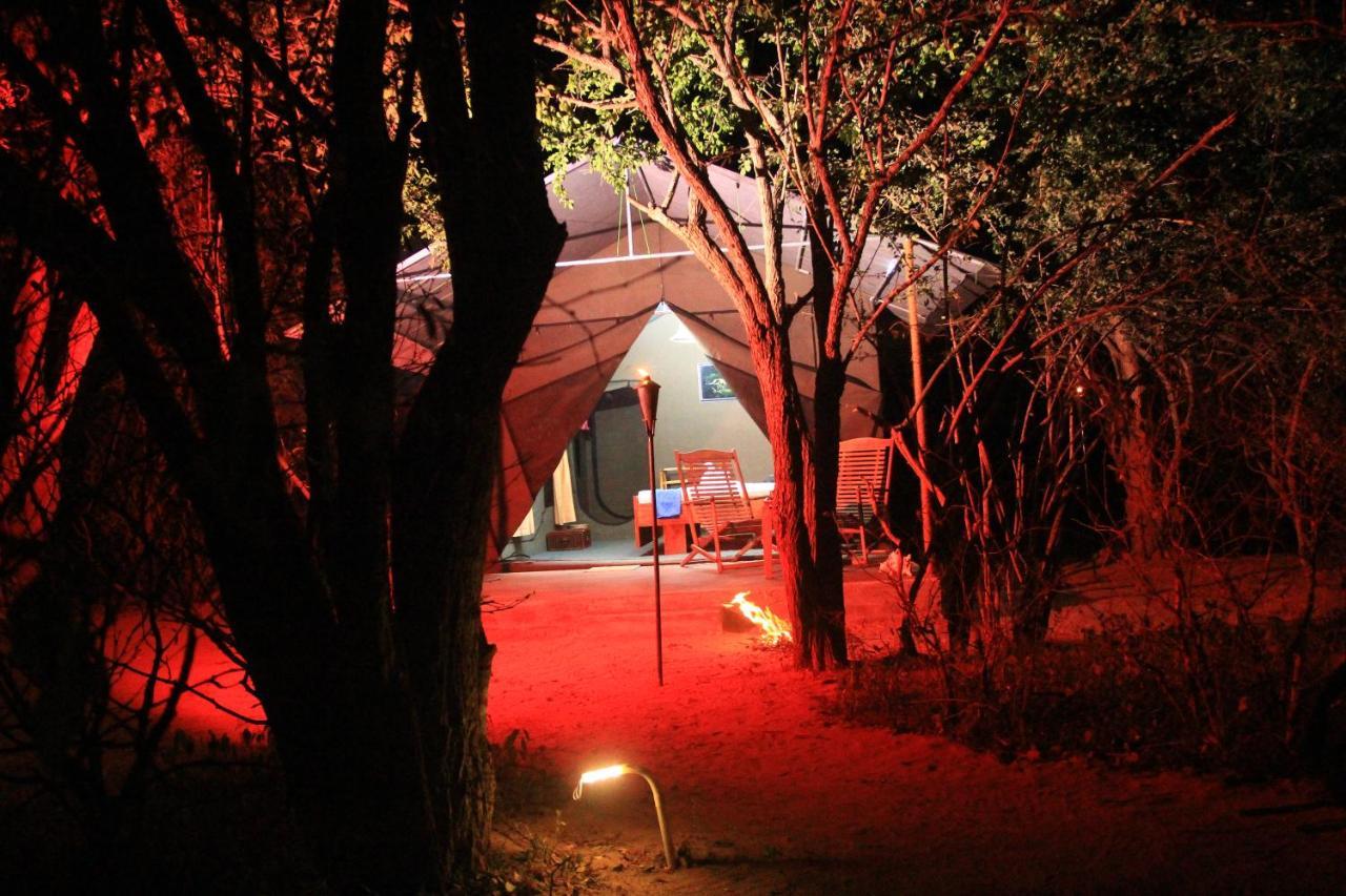 The Campers Lodge 얄라 외부 사진